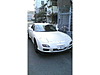 175台限定