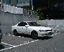 力強い