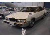 絶滅危機に瀕している。（ハッチバック車）
